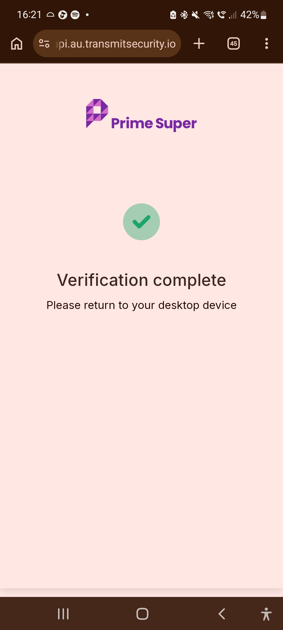 Debit 8.jpg